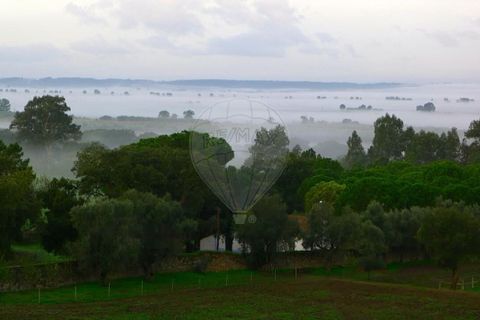 Villa a Chamusca, Santarem, Chamusca - € 3.600.000 | Ref: VA-125501029-134 - foto 22