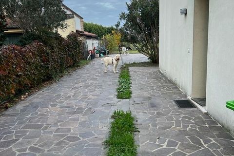 Villa a Rovigo, Rovigo, Rovigo - € 700.000 | Ref: MCEC151123 - foto 38