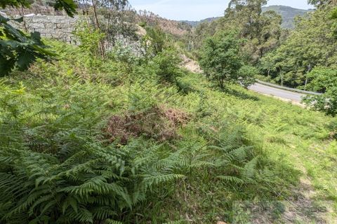 Helårsgrund i Arcos de Valdevez, Viana do Castelo, Arcos de Valdevez - € 50.000 | Ref: 6108 (9) - foto 3