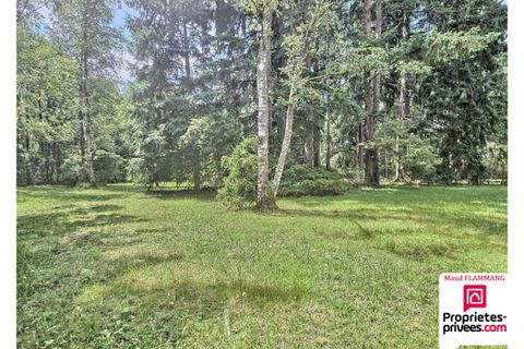 Villa i Orleans, Loiret, Orleans - € 530.000 | Ref: 418947MFLA - foto 17