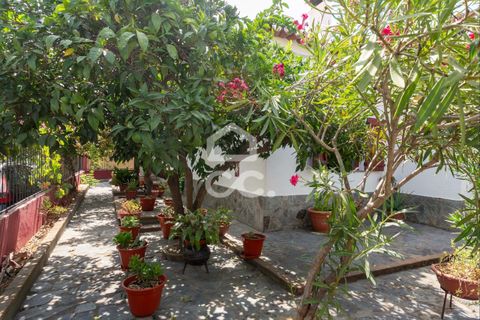 Villa i Mourao, Evora, Mourao - € 375.000 | Ref: 363/M/00992 - foto 24