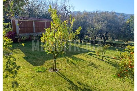 Farm i Fafe, Braga, Fafe - € 770.000 | Ref: 3363 - foto 13