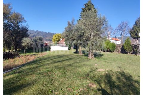 Farm i Fafe, Braga, Fafe - € 770.000 | Ref: 3363 - foto 20
