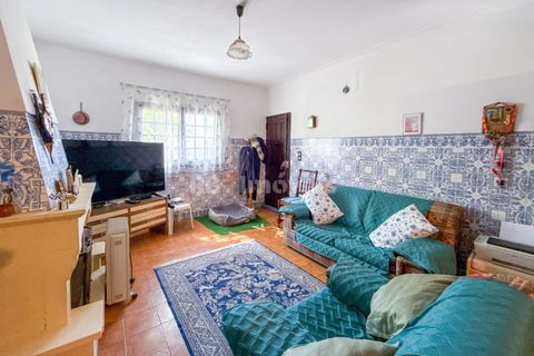 Villa a Entroncamento, Santarem, Entroncamento - € 290.000 | Ref: 01649-25 - foto 23