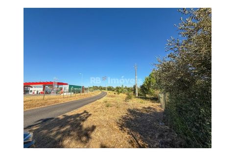 Helårsgrund i Abrantes, Santarem, Abrantes - € 22.500 | Ref: 01646-25 - foto 4