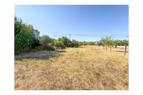 Helårsgrund i Abrantes, Santarem, Abrantes - € 22.500 | Ref: 01646-25 - foto 5