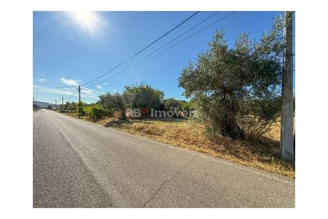 Helårsgrund i Abrantes, Santarem, Abrantes - € 22.500 | Ref: 01646-25 - foto 6