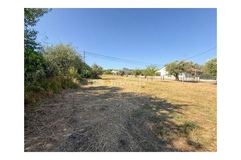 Helårsgrund i Abrantes, Santarem, Abrantes - € 22.500 | Ref: 01646-25 - foto 3