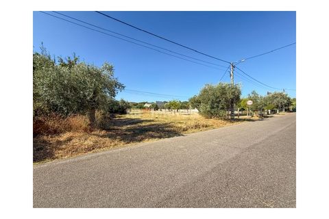 Helårsgrund i Abrantes, Santarem, Abrantes - € 22.500 | Ref: 01646-25 - foto 8