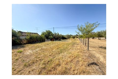 Helårsgrund i Abrantes, Santarem, Abrantes - € 22.500 | Ref: 01646-25 - foto 9