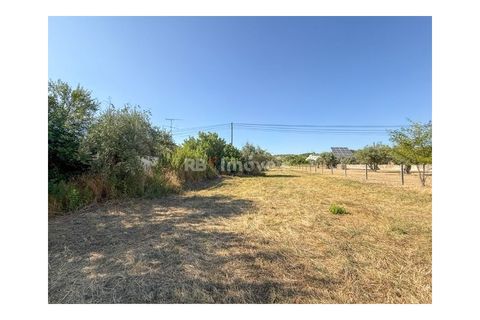 Helårsgrund i Abrantes, Santarem, Abrantes - € 22.500 | Ref: 01646-25 - foto 10