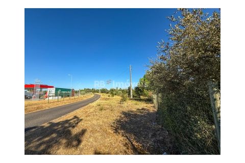 Helårsgrund i Abrantes, Santarem, Abrantes - € 22.500 | Ref: 01646-25 - foto 11