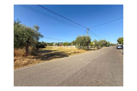 Helårsgrund i Abrantes, Santarem, Abrantes - € 22.500 | Ref: 01646-25 - foto 12