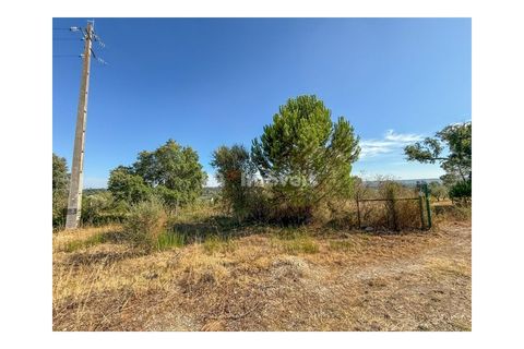 Helårsgrund i Abrantes, Santarem, Abrantes - € 22.500 | Ref: 01646-25 - foto 13