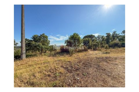 Helårsgrund i Abrantes, Santarem, Abrantes - € 22.500 | Ref: 01646-25 - foto 14