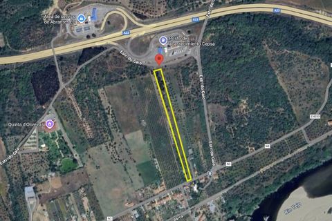 Helårsgrund i Abrantes, Santarem, Abrantes - € 22.500 | Ref: 01646-25 - foto 15