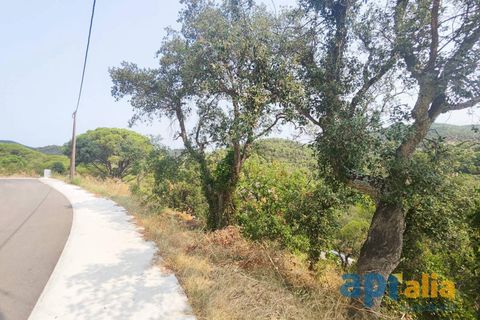 Helårsgrund i Calonge, Gerona, Calonge - € 65.000 | Ref: 2981/12898 - foto 7