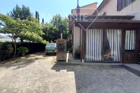 Farm i Cinigiano, Grosseto, Cinigiano - € 420.000 | Ref: AZ381 - foto 3