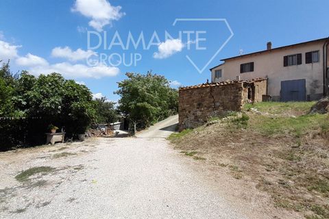 Farm i Cinigiano, Grosseto, Cinigiano - € 420.000 | Ref: AZ381 - foto 4