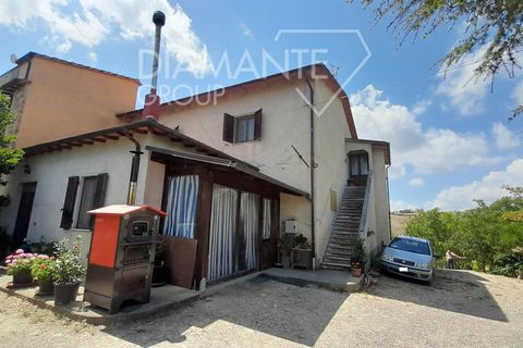 Farm i Cinigiano, Grosseto, Cinigiano - € 420.000 | Ref: AZ381 - foto 8