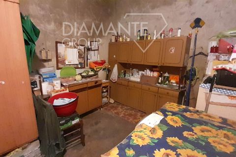 Farm i Cinigiano, Grosseto, Cinigiano - € 420.000 | Ref: AZ381 - foto 9