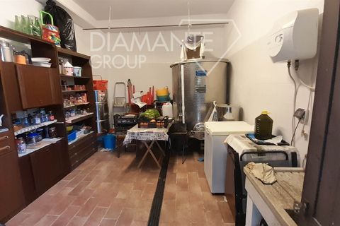 Farm i Cinigiano, Grosseto, Cinigiano - € 420.000 | Ref: AZ381 - foto 10