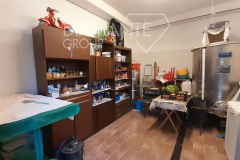Farm i Cinigiano, Grosseto, Cinigiano - € 420.000 | Ref: AZ381 - foto 11