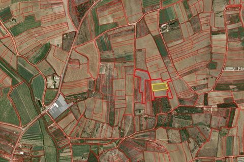 Helårsgrund i Peniche, Leiria, Peniche - € 30.000 | Ref: 148193 - foto 10
