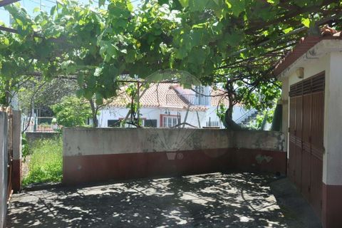 Villa i Calheta, Madeira, Calheta - € 155.000 | Ref: 123511160-58 - foto 9