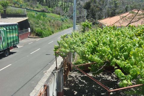 Villa i Calheta, Madeira, Calheta - € 155.000 | Ref: 123511160-58 - foto 14