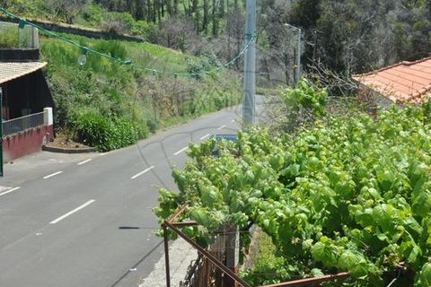 Villa i Calheta, Madeira, Calheta - € 155.000 | Ref: 123511160-58 - foto 15