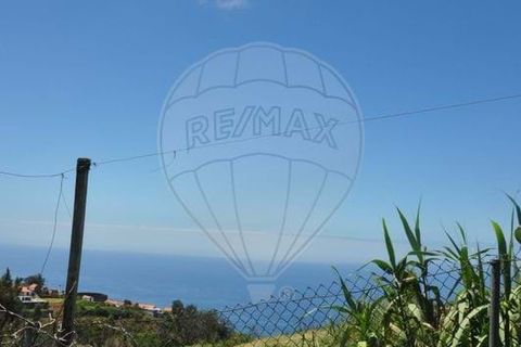 Villa i Calheta, Madeira, Calheta - € 155.000 | Ref: 123511160-58 - foto 18