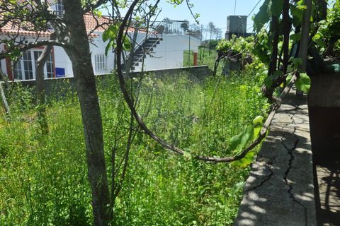 Villa i Calheta, Madeira, Calheta - € 155.000 | Ref: 123511160-58 - foto 19