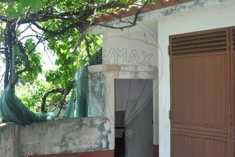 Villa i Calheta, Madeira, Calheta - € 155.000 | Ref: 123511160-58 - foto 21