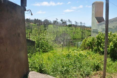 Villa i Calheta, Madeira, Calheta - € 155.000 | Ref: 123511160-58 - foto 22