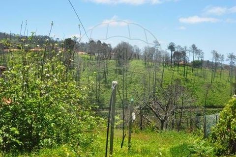 Villa i Calheta, Madeira, Calheta - € 155.000 | Ref: 123511160-58 - foto 23