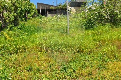 Villa i Calheta, Madeira, Calheta - € 155.000 | Ref: 123511160-58 - foto 25