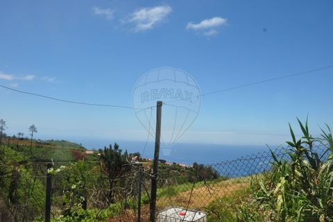 Villa i Calheta, Madeira, Calheta - € 155.000 | Ref: 123511160-58 - foto 26