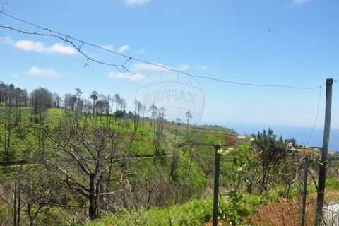Villa i Calheta, Madeira, Calheta - € 155.000 | Ref: 123511160-58 - foto 27