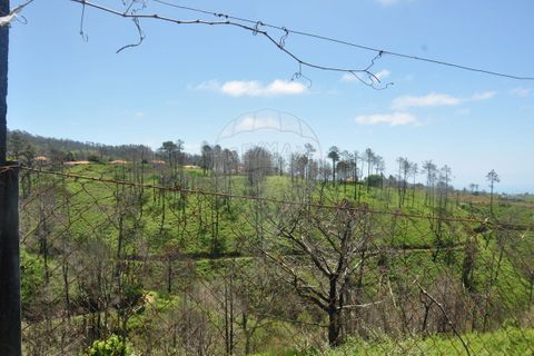 Villa i Calheta, Madeira, Calheta - € 155.000 | Ref: 123511160-58 - foto 28