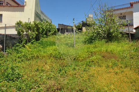 Villa i Calheta, Madeira, Calheta - € 155.000 | Ref: 123511160-58 - foto 29