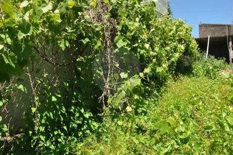 Villa i Calheta, Madeira, Calheta - € 155.000 | Ref: 123511160-58 - foto 30