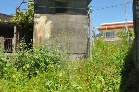 Villa i Calheta, Madeira, Calheta - € 155.000 | Ref: 123511160-58 - foto 32