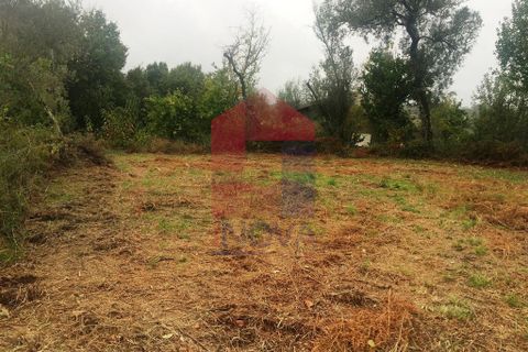 Helårsgrund i Vila Verde, Braga, Vila Verde - € 16.500 | Ref: 05949 - foto 2