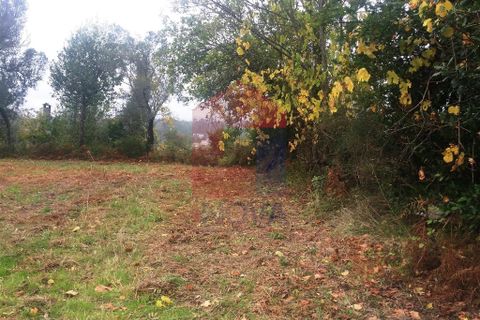 Helårsgrund i Vila Verde, Braga, Vila Verde - € 16.500 | Ref: 05949 - foto 3