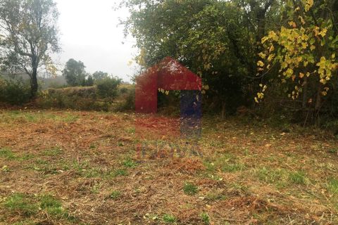 Helårsgrund i Vila Verde, Braga, Vila Verde - € 16.500 | Ref: 05949 - foto 4