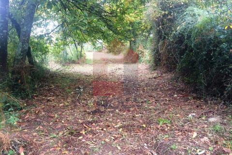 Helårsgrund i Vila Verde, Braga, Vila Verde - € 16.500 | Ref: 05949 - foto 5