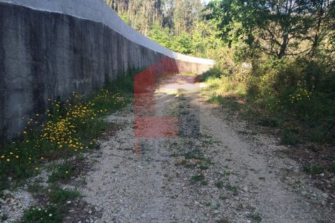 Helårsgrund i Vila Verde, Braga, Vila Verde - € 16.500 | Ref: 05949 - foto 7
