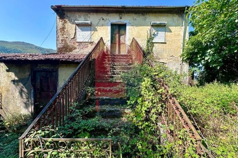Rækkehus i Terras de Bouro, Braga, Terras de Bouro - € 107.000 | Ref: 08683 - foto 18