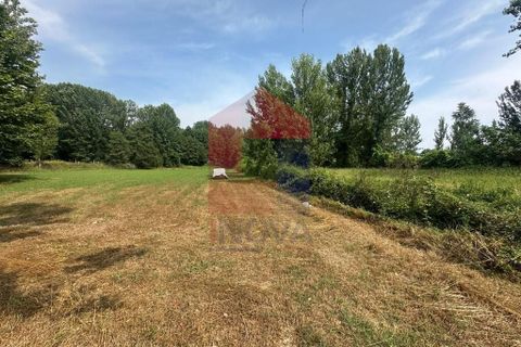 Helårsgrund i Braga, Braga, Braga - € 71.500 | Ref: 08685 - foto 5